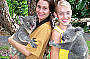 Rainforeststation - Cuddle a Koala!