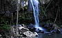 Mt Tamborine waterfalls