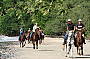 Experienced Horse Ride
