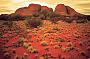 Kata Tjuta and Uluru (Ayers Rock) Sunset Tour (Y13)