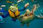 2 Day Great Barrier Reef & Waterfalls. Wildlife, Paronella Park tour