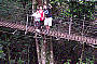 Treetop Board Walk - O'Rielly's
